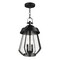 Maxim Lighting Mariner Large 2-Light Outdoor Pendant, Black/Antique Brass 30623CDBKAB - alternate 1